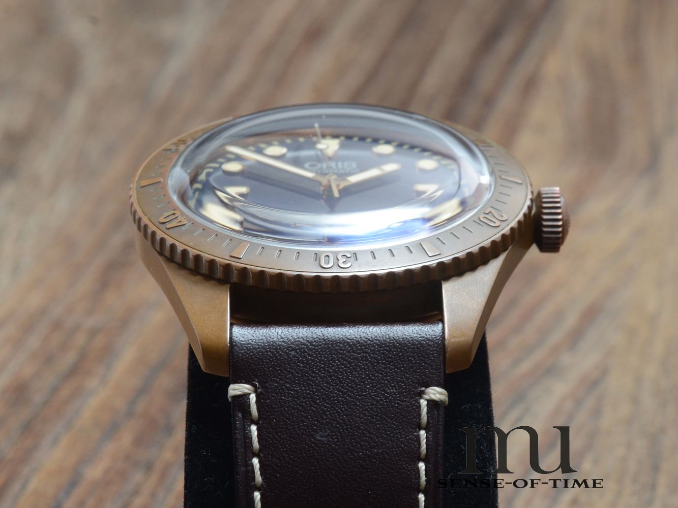 Oris Diver Carl Brashear Bronze Limited Edition