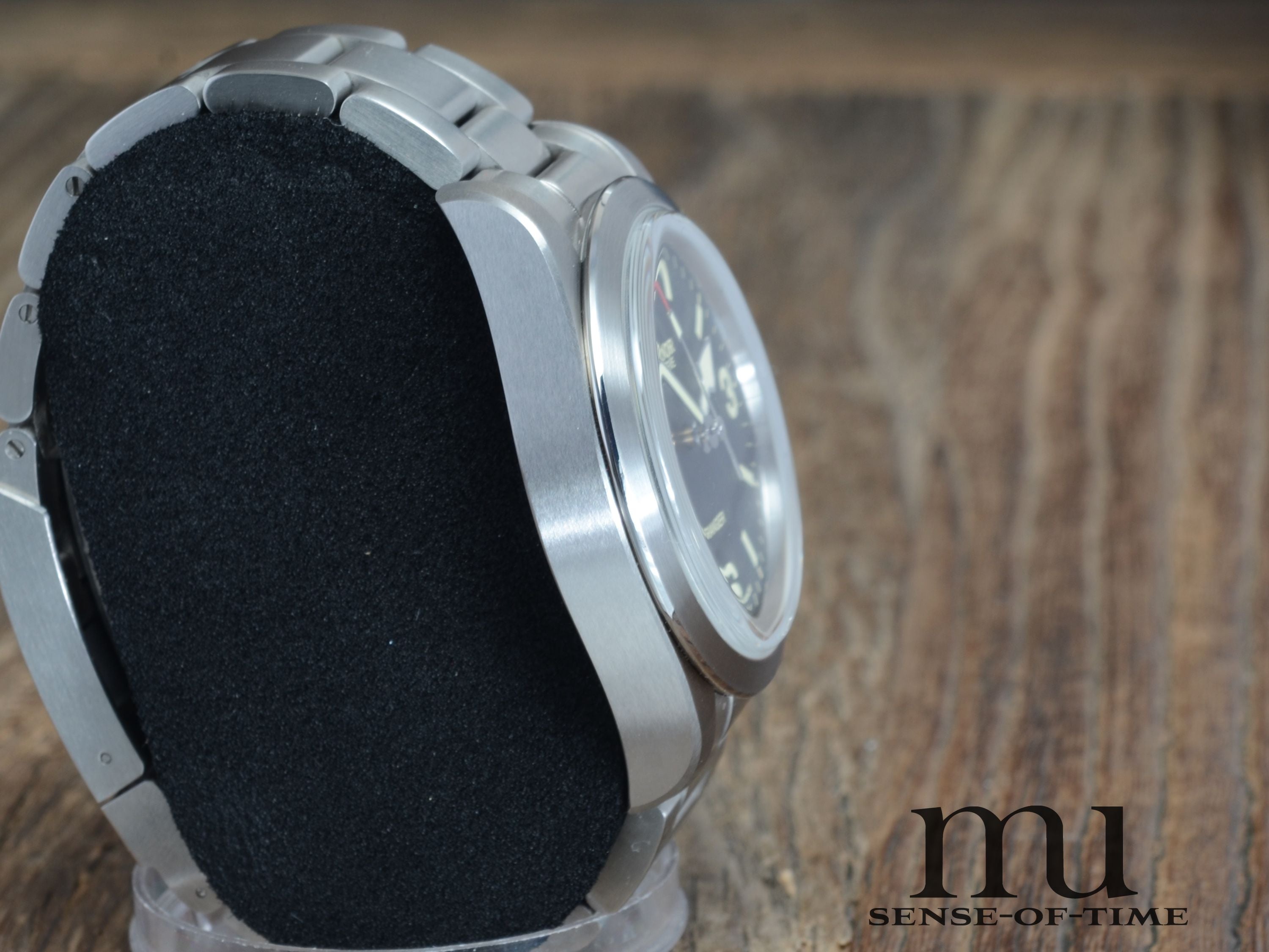 Tudor Ranger, Neuheit 7/22, neu, Ref. 79950